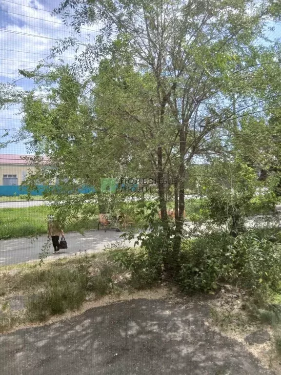 Студия Курганская область, Курган Чернореченская ул., 91 (17.5 м) - Фото 1
