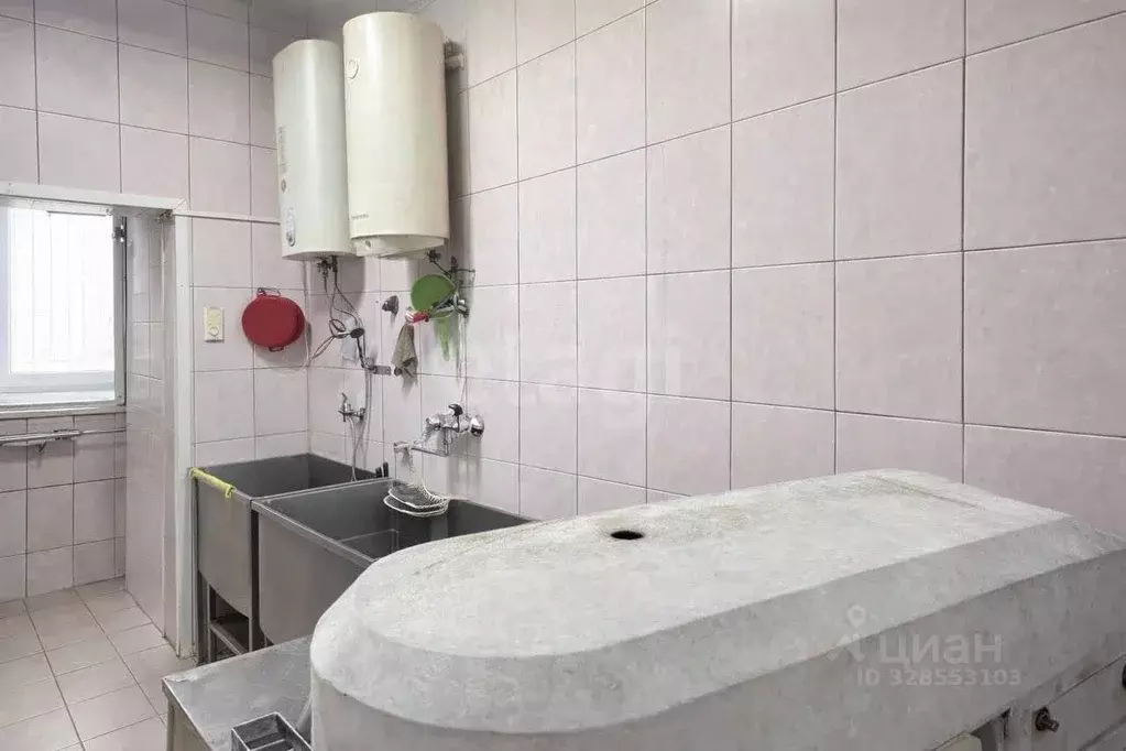 Помещение свободного назначения в Алтай, Майминский район, с. Майма ... - Фото 2