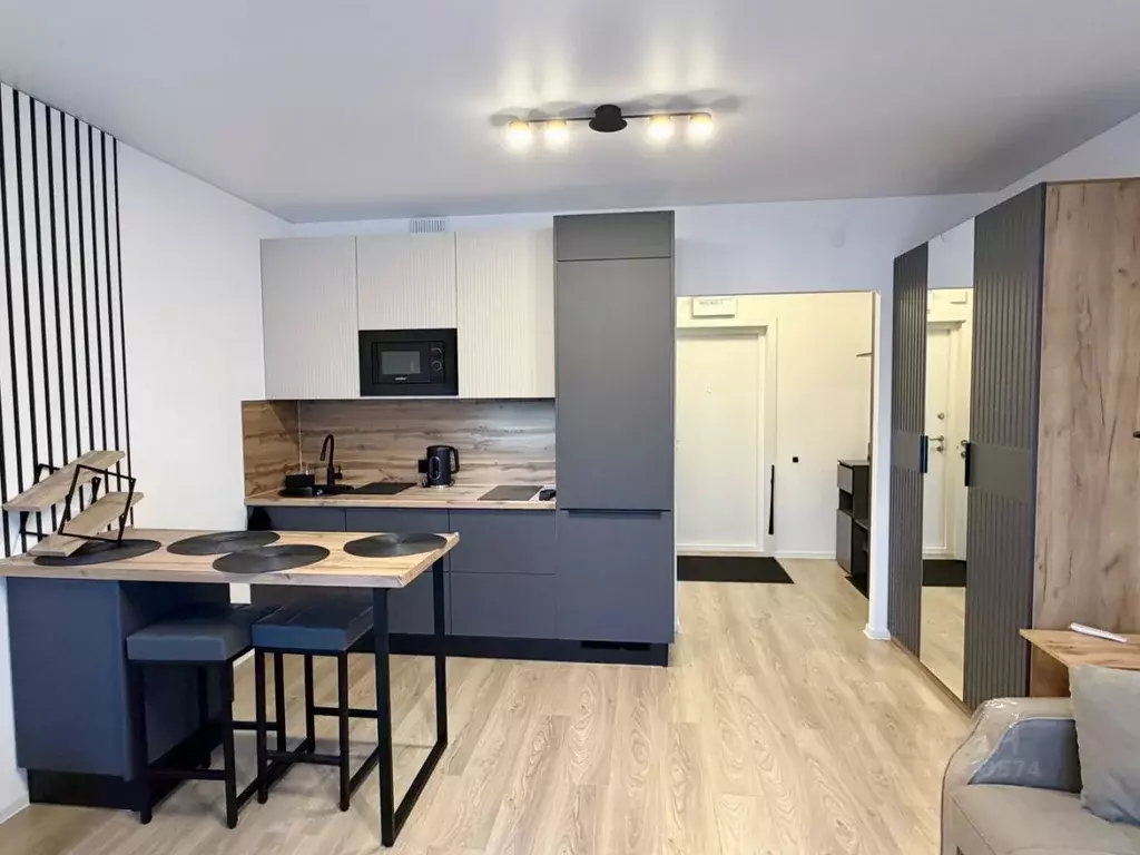 Студия Ленинградская область, Всеволожский район, д. Новое Девяткино ... - Фото 2