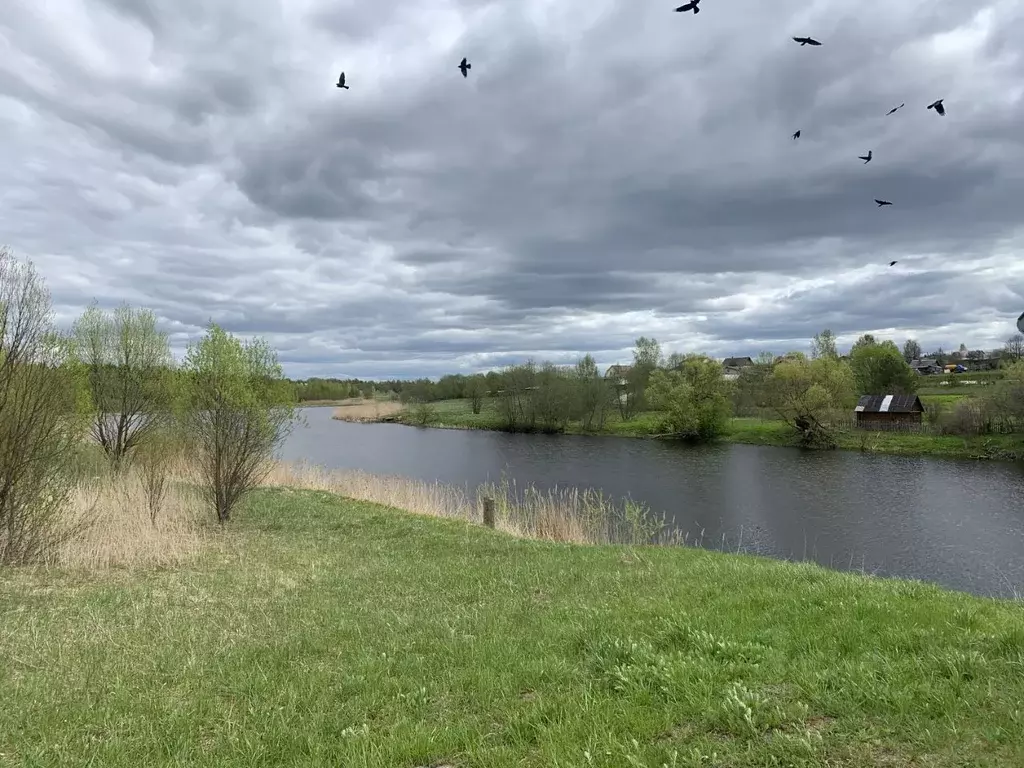 Участок в Ярославская область, Переславль-Залесский городской округ, ... - Фото 0