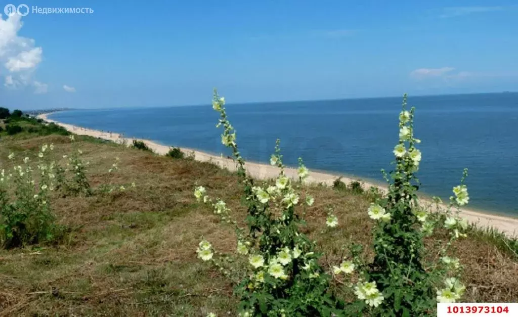 Дом в посёлок Кучугуры, Приазовская улица, 2 (78.1 м) - Фото 0