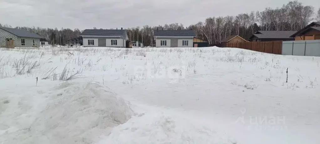 Участок в Алтайский край, Первомайский район, с. Фирсово Палитра жилой ... - Фото 1