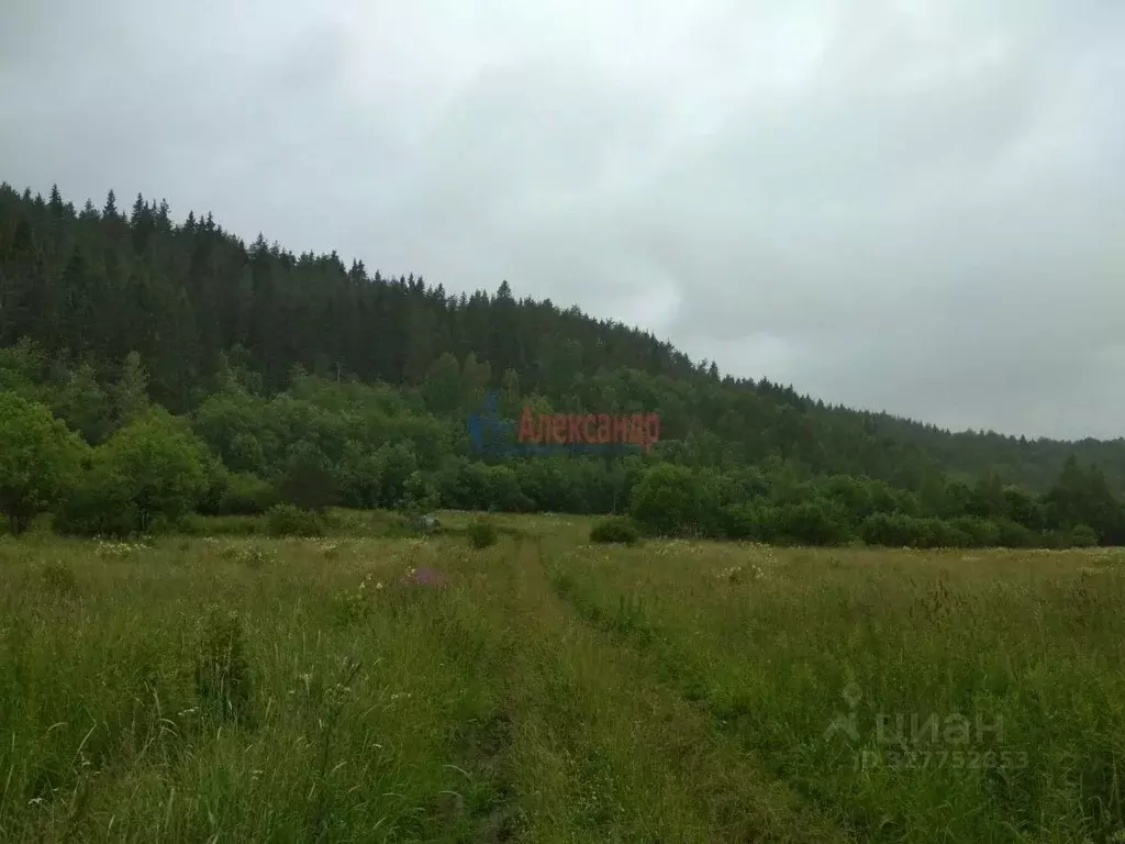 Участок в Карелия, Лахденпохский муниципальный округ, пос. Микли  ... - Фото 1