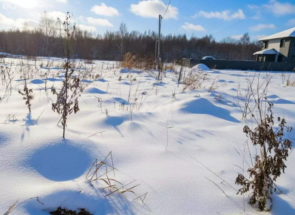 Участок в Талдомский городской округ, деревня Карманово, Центральная ... - Фото 2