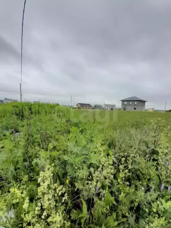 Участок в Вологодская область, пос. Харачево, Андреевская Слобода кп  ... - Фото 1