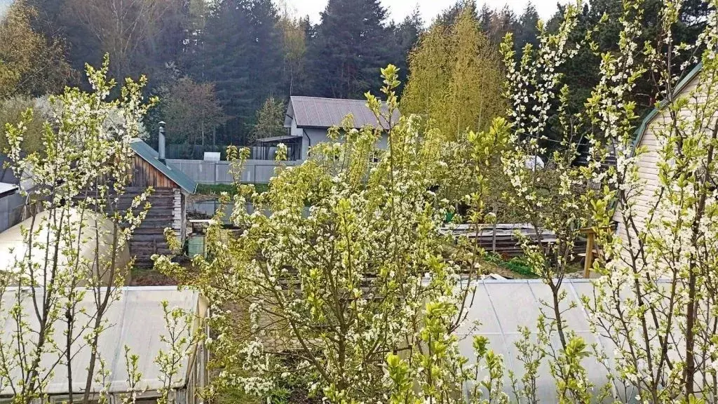 Дом в Костромская область, Кострома Солонка СНТ, 241 (77 м) - Фото 0