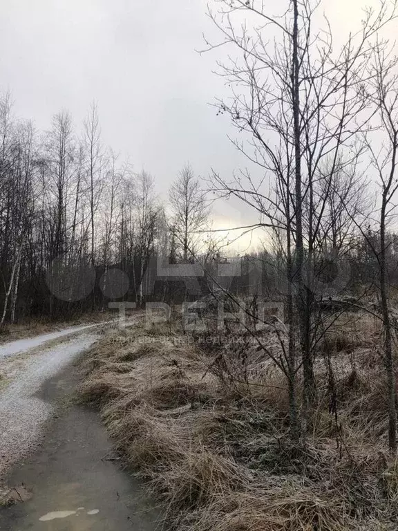 Участок 12 сот. (СНТ, ДНП) - Фото 1