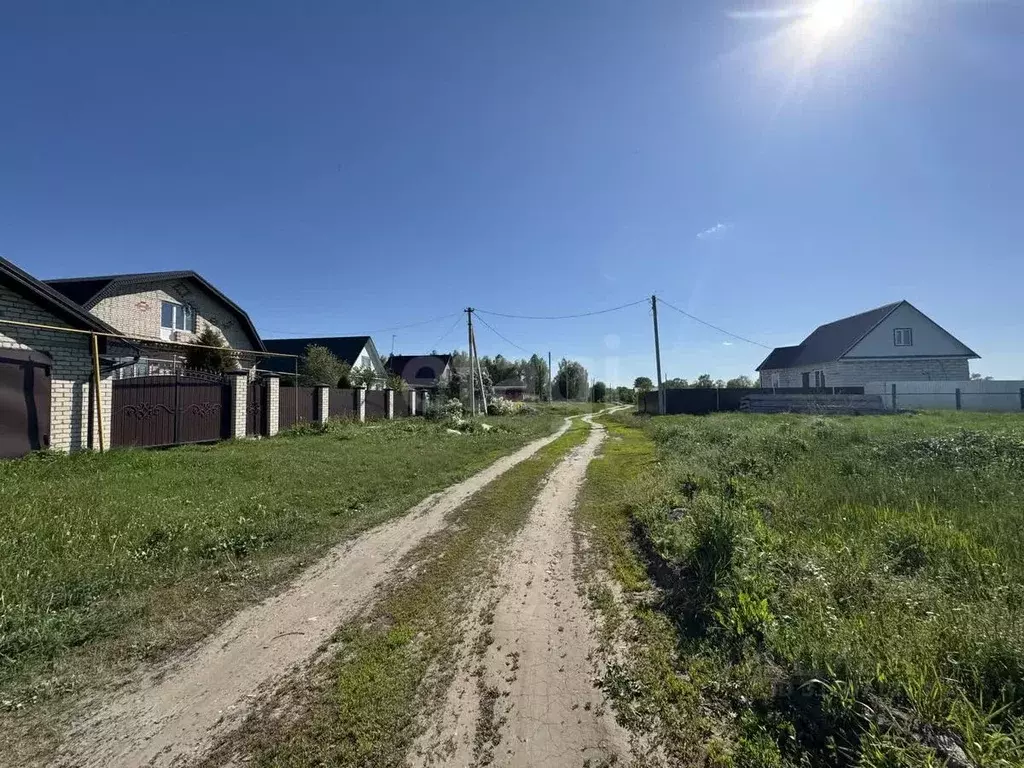 Участок в Мордовия, Ковылкинский район, Кочелаевское с/пос, с. ... - Фото 0