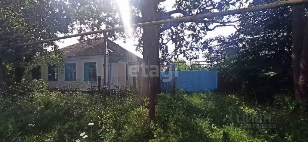 Дом в Белгородская область, Губкинский городской округ, с. Мелавое ул. ... - Фото 1