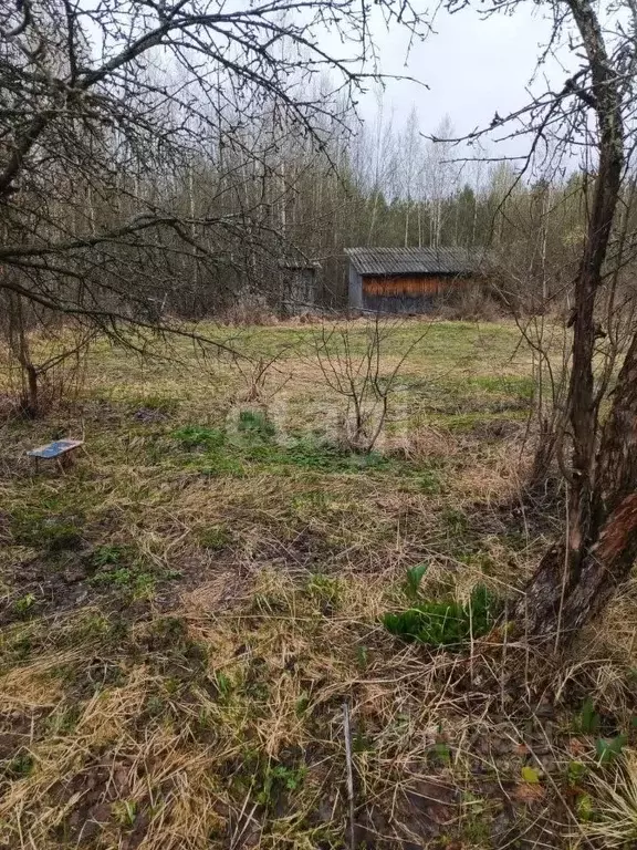 Участок в Московская область, Орехово-Зуевский городской округ, Мечта ... - Фото 0