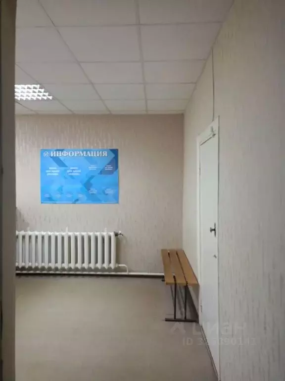 Помещение свободного назначения в Белгородская область, Белгород ул. ... - Фото 1