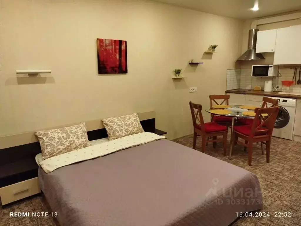 Студия Санкт-Петербург ул. Хошимина, 16А (28.0 м) - Фото 1