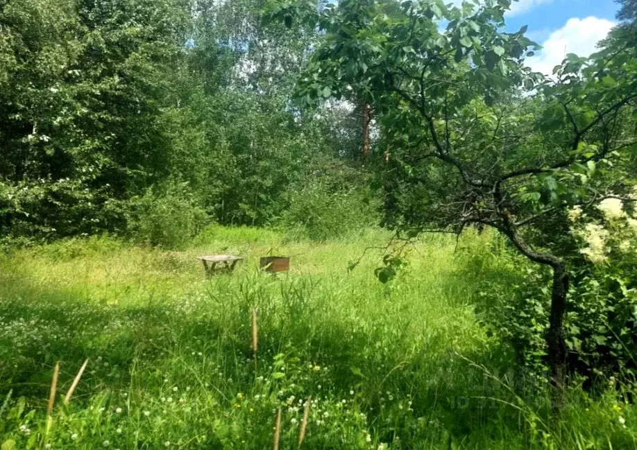 Участок в Ленинградская область, Гатчинский район, Вырица городской ... - Фото 0