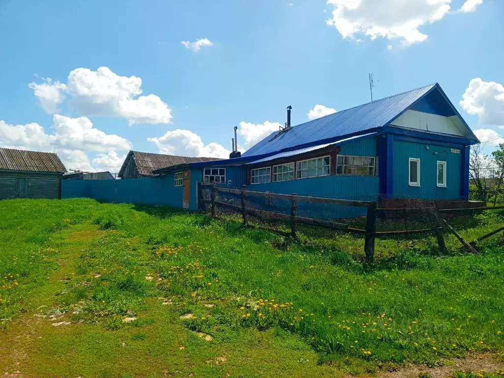Дом в Самарская область, Клявлинский район, с. Борискино Игар ул. ... - Фото 0