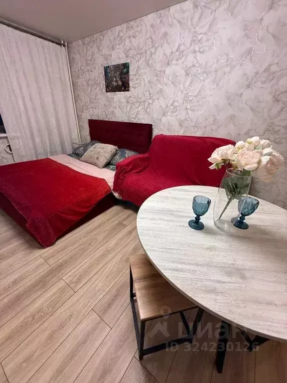 Студия Воронежская область, Воронеж ул. Ломоносова, 114/20 (28.0 м) - Фото 1