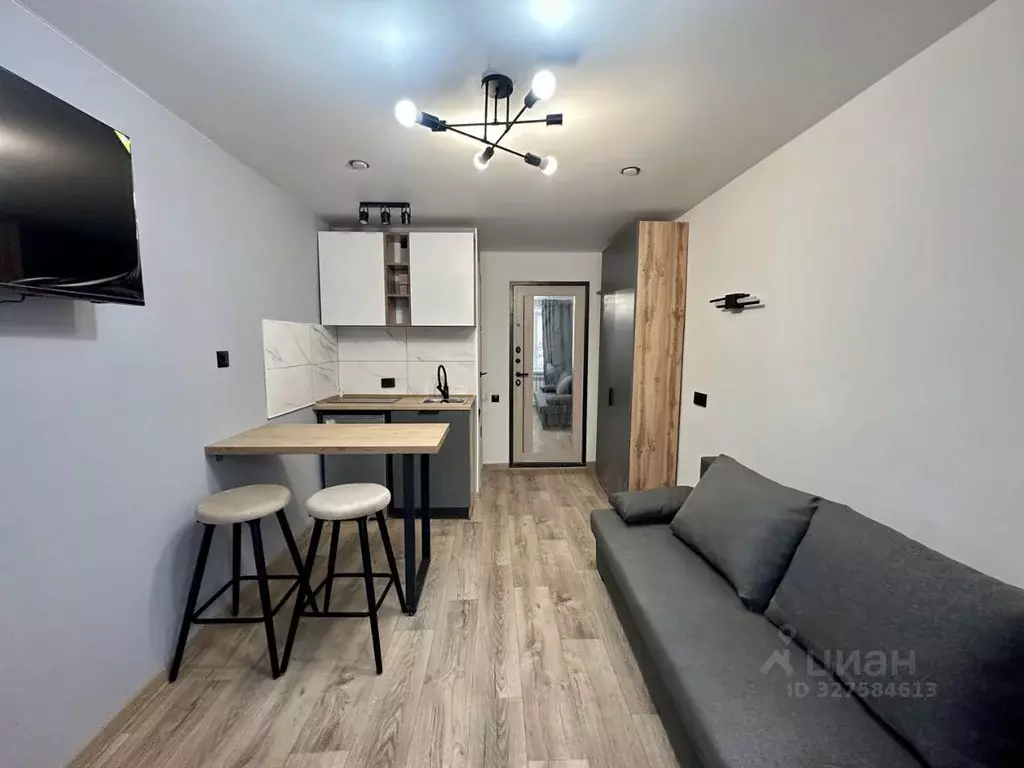 Студия Алтайский край, Барнаул ул. Эмилии Алексеевой, 68 (17.0 м) - Фото 2