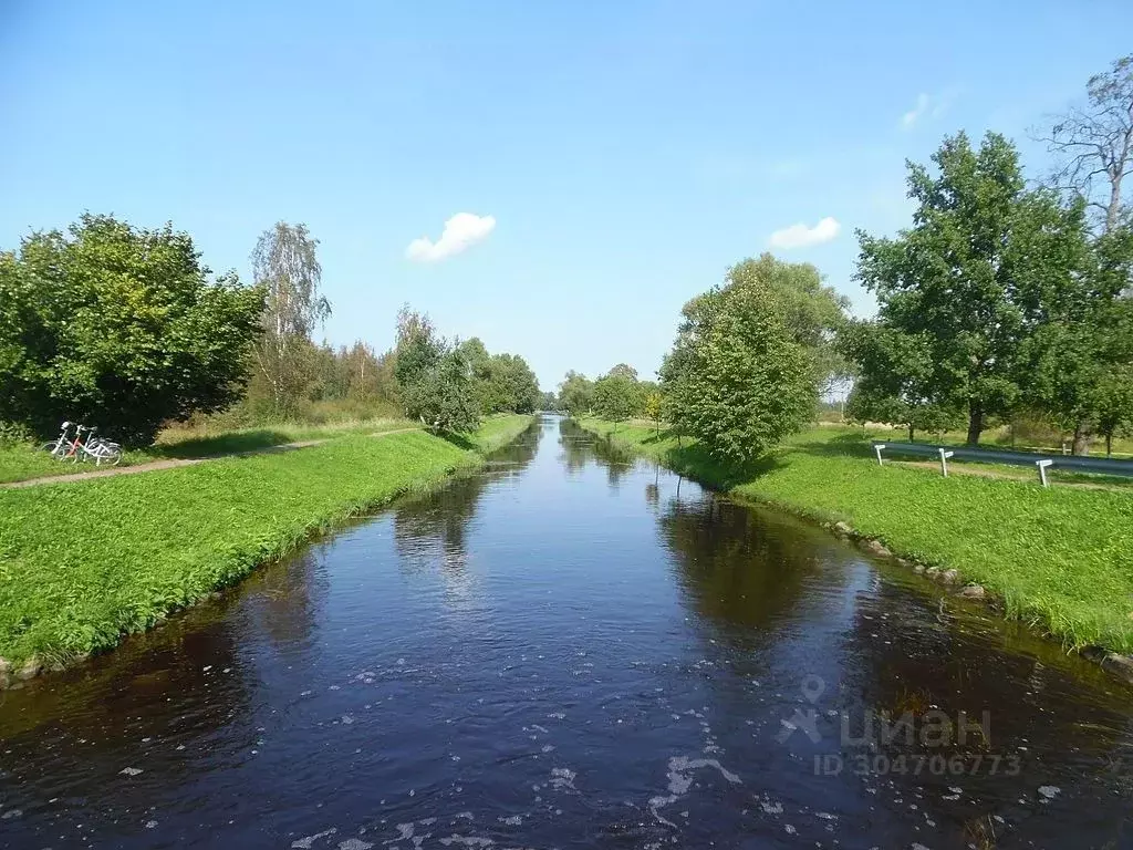 Участок в Ленинградская область, Ломоносовский район, д. Санино  (5.0 ... - Фото 1