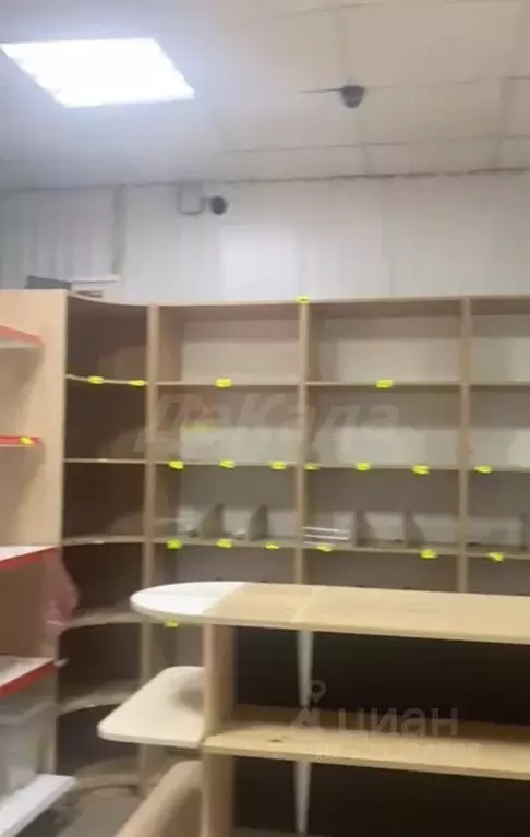 Помещение свободного назначения в Ульяновская область, Ульяновск ул. ... - Фото 1