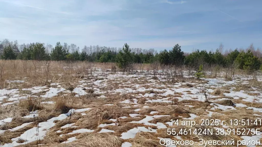 Участок в Московская область, Орехово-Зуевский городской округ, д. ... - Фото 0