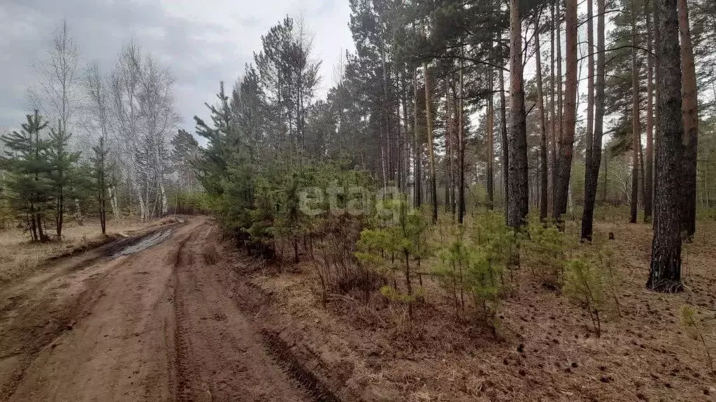 Участок в Забайкальский край, Читинский район, с. Смоленка  (8.0 сот.) - Фото 0