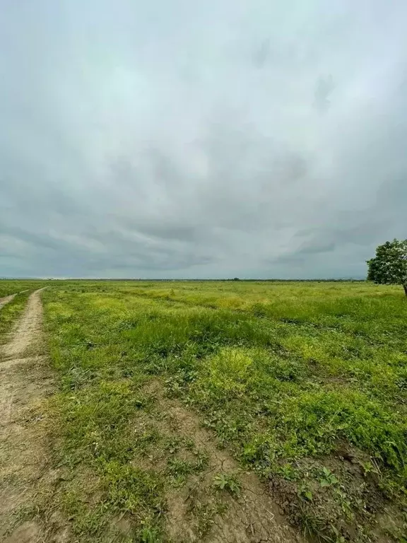 Участок в Чеченская республика, Грозный пос. Алхан-Чурт, ул. ... - Фото 0