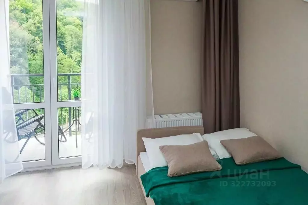 1-к кв. Краснодарский край, Сочи ул. Искры, 88к8 (29.0 м) - Фото 0