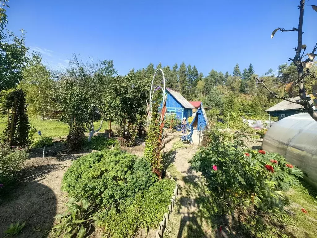 Дом в Владимирская область, Киржач Инструментальщик СНТ,  (25 м) - Фото 2