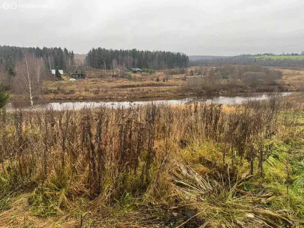 Участок в Вологодский муниципальный округ, деревня Мягрино (15 м) - Фото 1