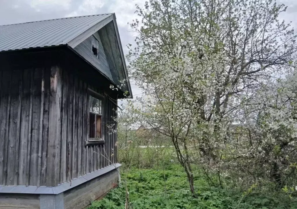 Участок в Марий Эл, Медведевский район, Сидоровское с/пос, Дружба СНТ, ... - Фото 2