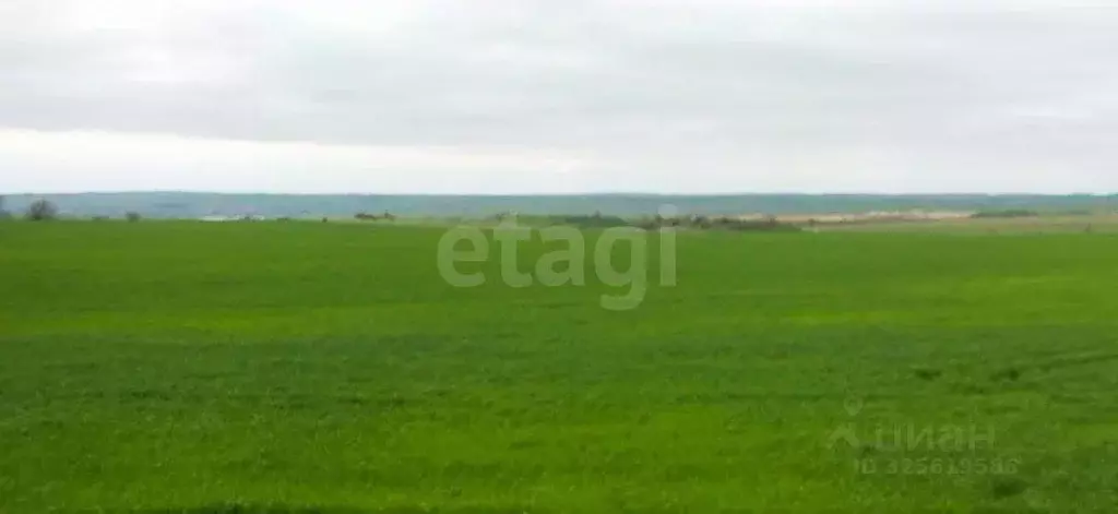 Участок в Крым, Ленинский район, Заветненское с/пос, с. Заветное ул. ... - Фото 1