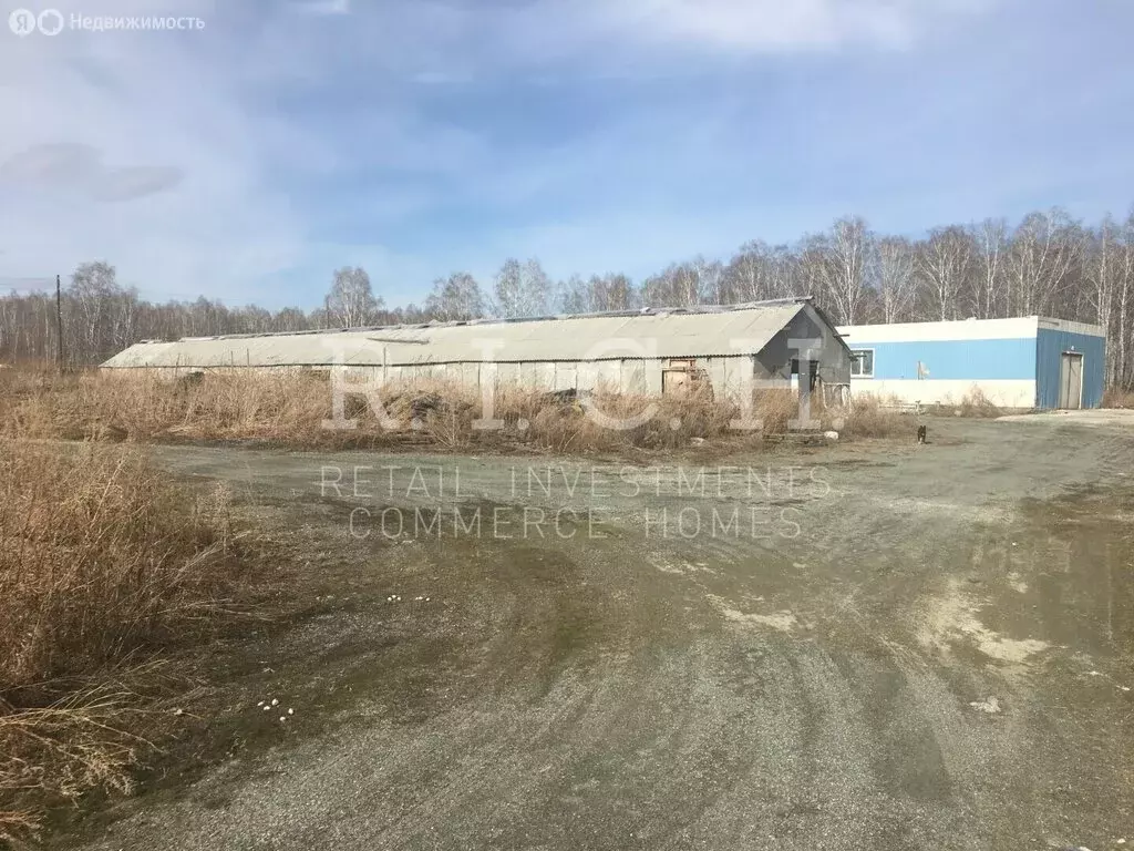 Производственное помещение (1000 м) - Фото 1