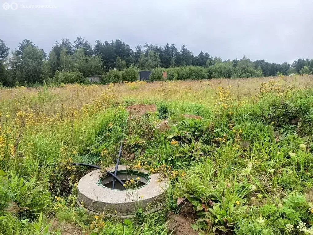 Участок в Тульская область, городской округ Алексин, деревня Мясоедово ... - Фото 2