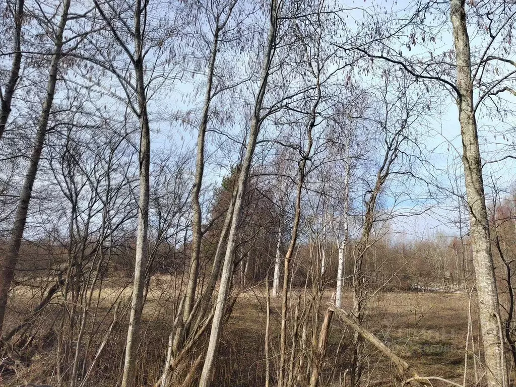 Участок, 21 сот., поселения (ижс) - Фото 2