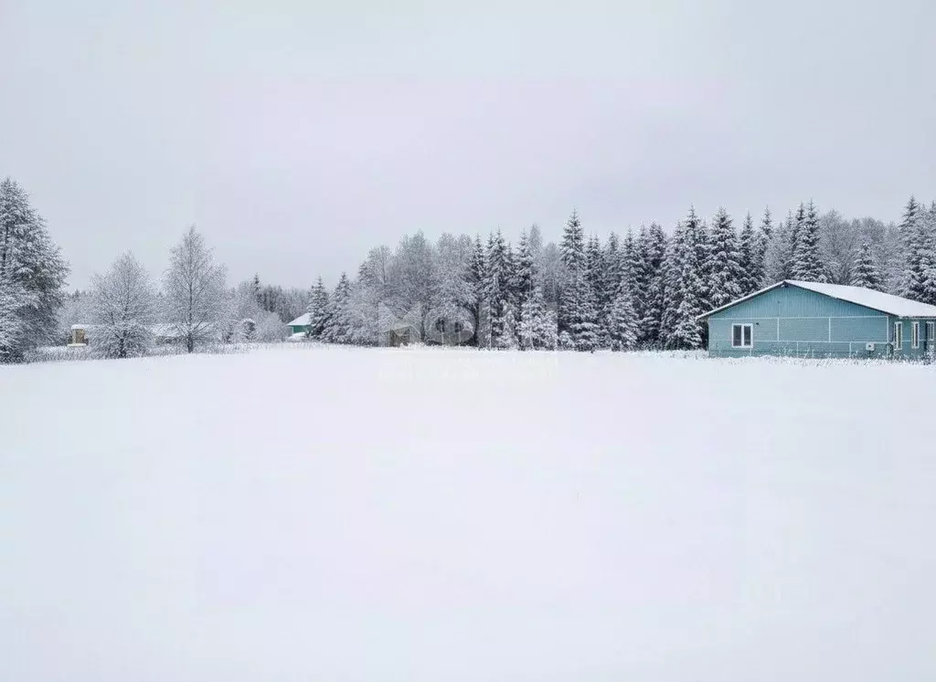 Участок в Карелия, Пряжинский район, пос. Чална  (15.0 сот.) - Фото 1