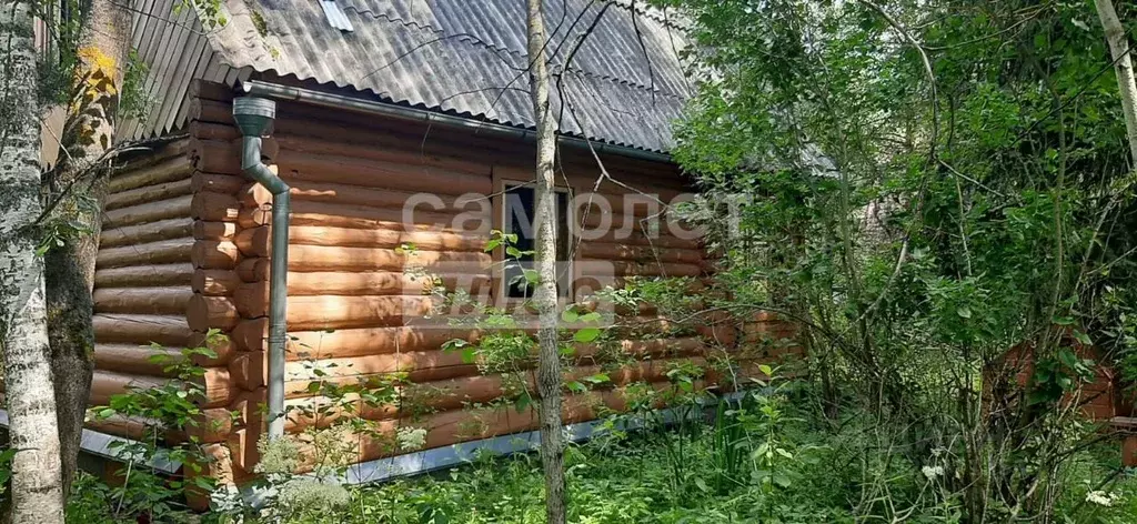 Участок в Московская область, Раменский муниципальный округ, Красная ... - Фото 2