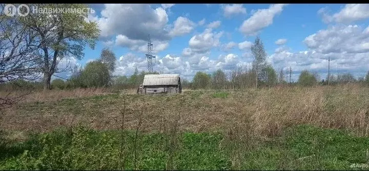 Участок в Псковский район, Торошинская волость, деревня Сабижи (26.5 ... - Фото 1