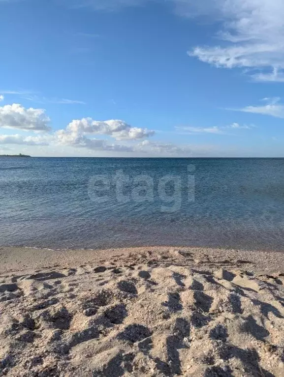 1-к кв. Крым, Черноморское пгт ул. Сигнальная, 2Б (40.3 м) - Фото 2