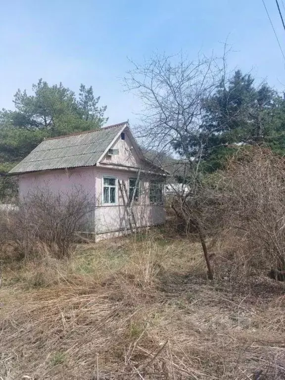 Купить Дачу В Находке Золотари