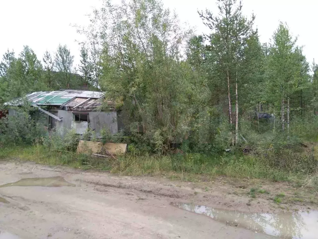 Участок 10 сот. (СНТ, ДНП) - Фото 0