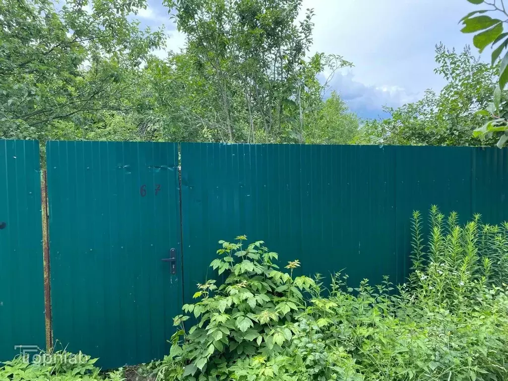 Участок в Рязанская область, Рязань Восход СТ, 67 (5.8 сот.) - Фото 1