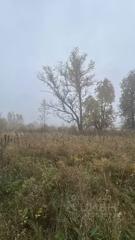 Участок в Московская область, Ступино городской округ, д. Сумароково  ... - Фото 1
