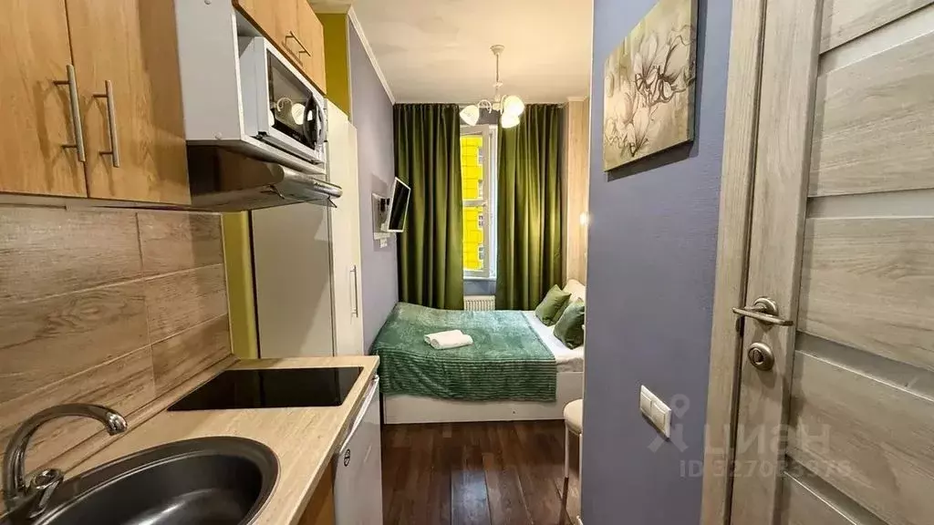 Студия Москва, Москва, Московский г. ул. Солнечная, 3Ас2 (17.0 м) - Фото 2