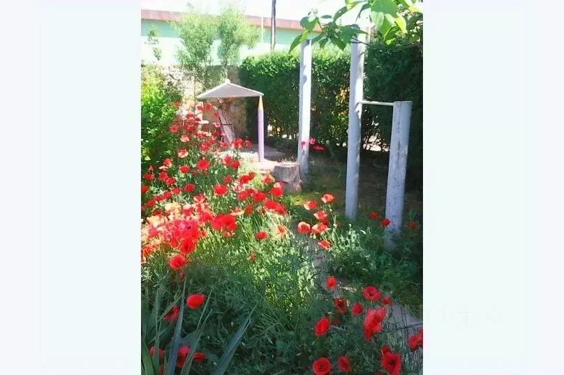 Дом в Крым, Евпатория городской округ, Заозерное пгт  (70 м) - Фото 1