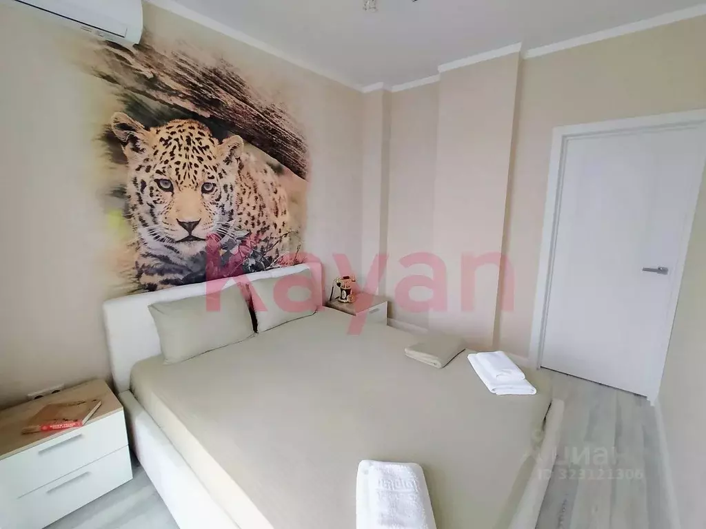 Студия Краснодарский край, Геленджик Просторная ул., 3 (31.0 м) - Фото 2