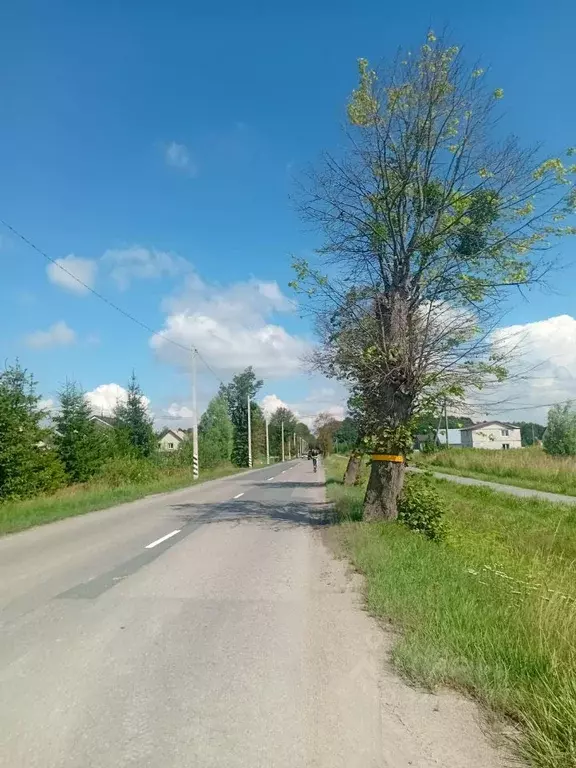 Участок в Калининградская область, Багратионовский муниципальный ... - Фото 1