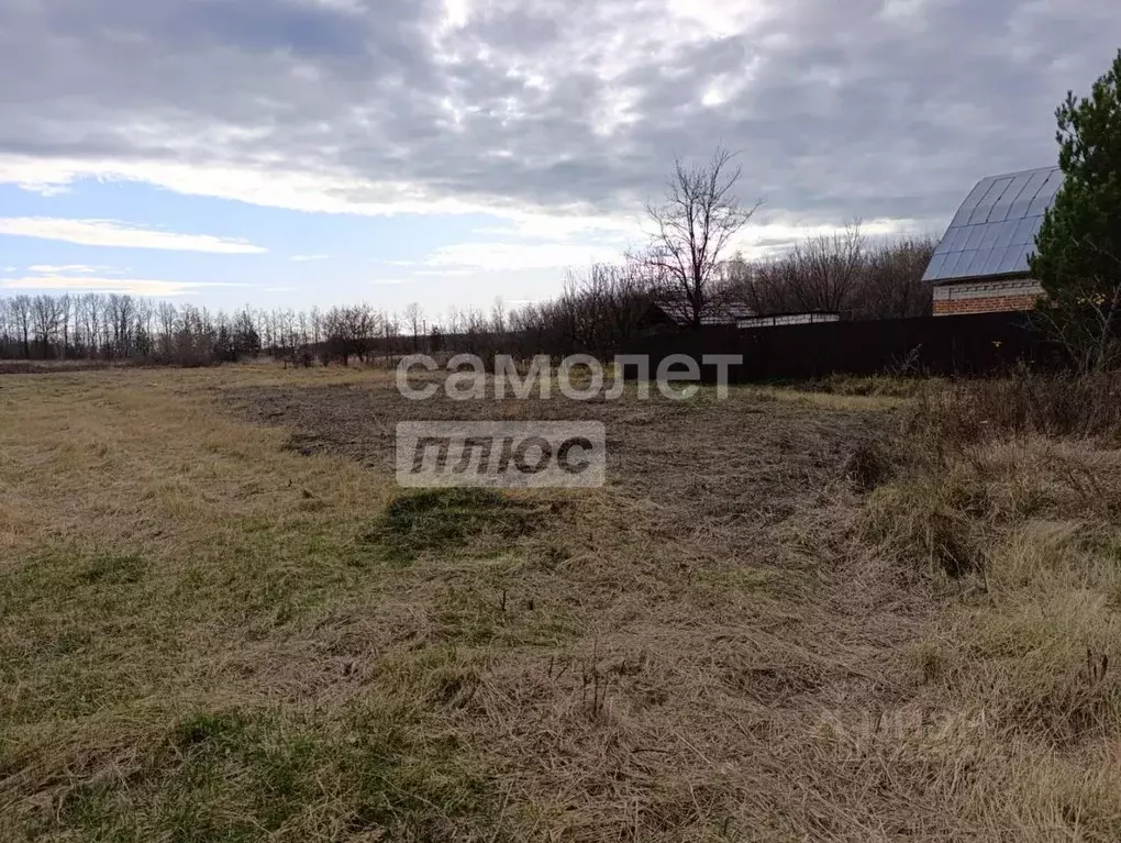 Участок в Липецкая область, Грязинский район, Карамышевский сельсовет, ... - Фото 2