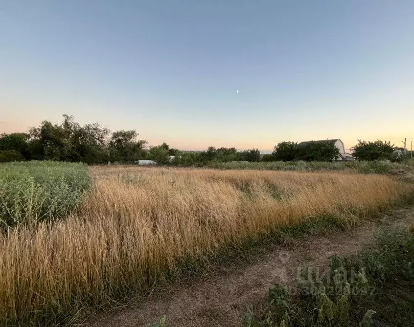 участок в ставропольский край, грачевский муниципальный округ, с. . - Фото 1