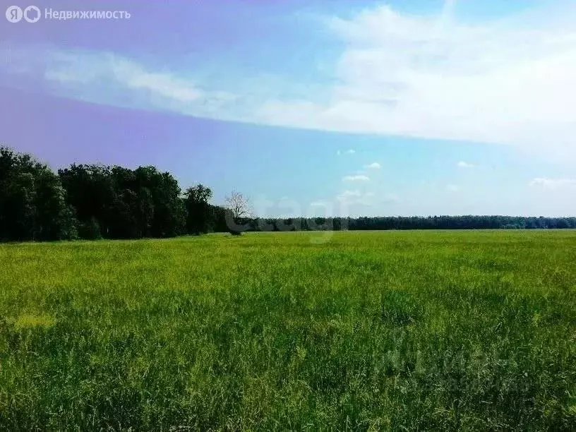 Участок в Ставропольский край, Шпаковский муниципальный округ, село ... - Фото 1