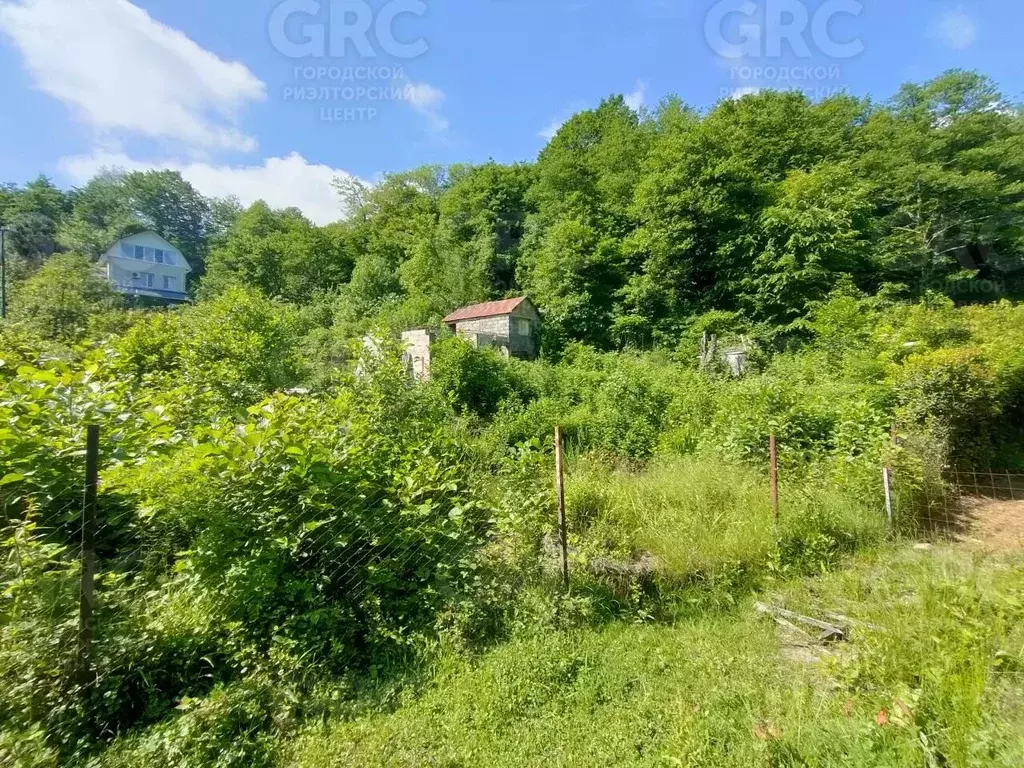 Участок в Краснодарский край, Сочи городской округ, с. Сергей-Поле, ... - Фото 1