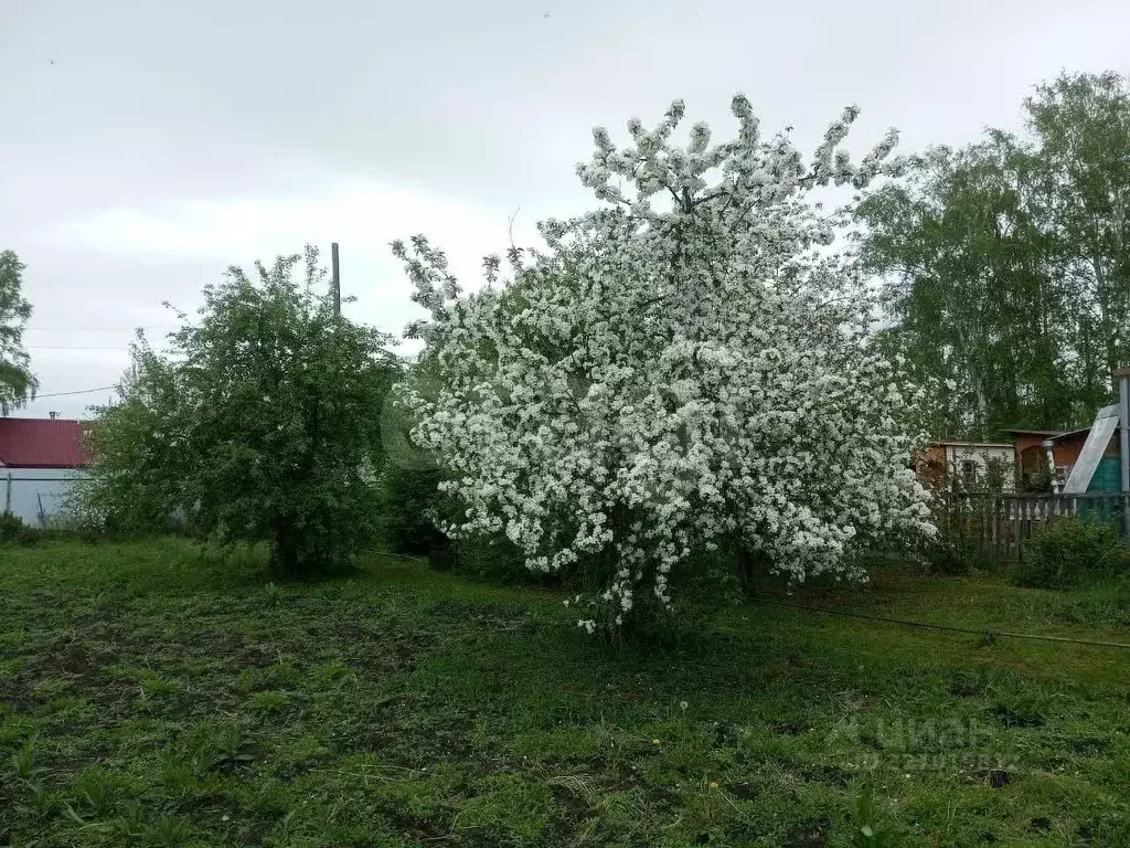 Участок в Курганская область, с. Кетово, Урожай СНТ  (6.3 сот.) - Фото 1